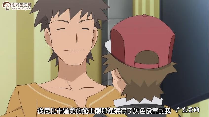 口袋妖怪喷火龙技能表 火红喷火龙技能表