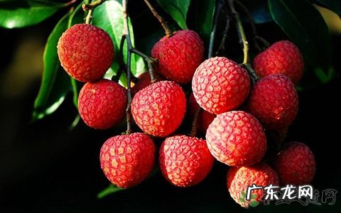 孕妇荔枝可以吃吗 孕妇吃荔枝好吗?