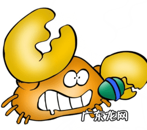 黑羽毛热带鱼 养黑鱼的风水