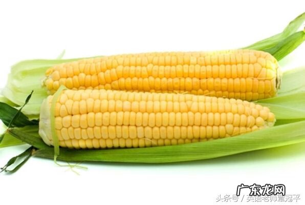 玉米粒的英文 一颗玉米的英文