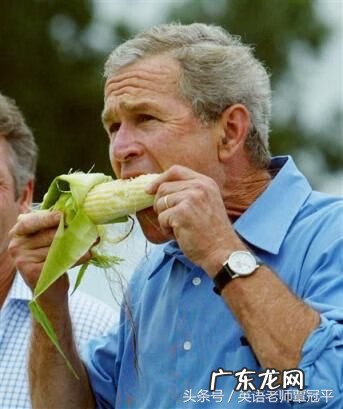 玉米粒的英文 一颗玉米的英文