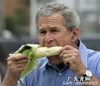 玉米粒的英文 一颗玉米的英文