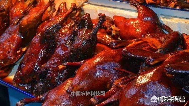 峨眉山属于哪个省市?