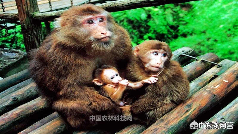 峨眉山属于哪个省市?