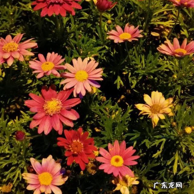 二婚会幸福吗?现在没结婚矛盾很多,怎么办?