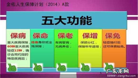 2017年金佑人生 2014金佑人生60岁领多少钱