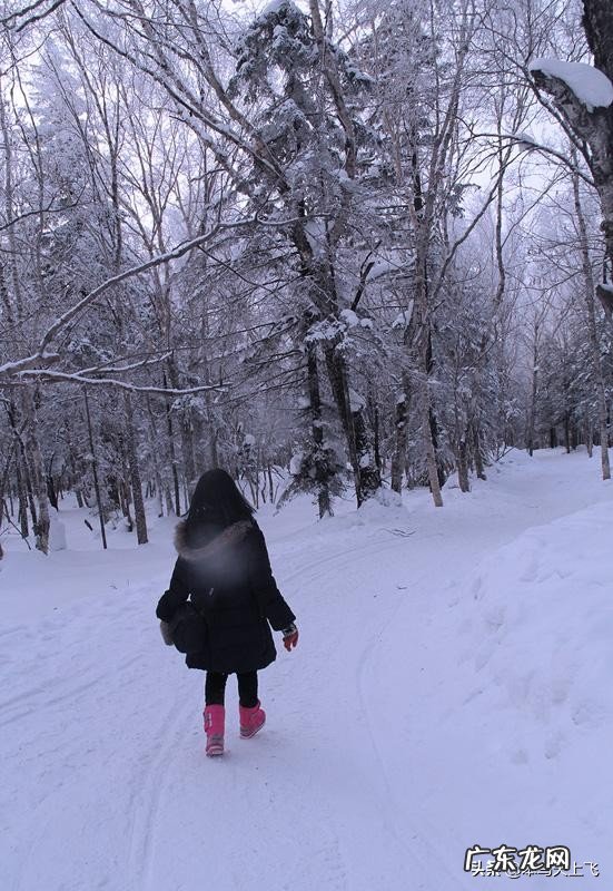 中国哪里的冬天雪景最美？美在哪里？