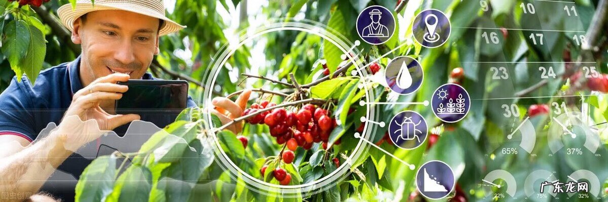 现在什么行情好赚钱 现在干什么最赚钱啊