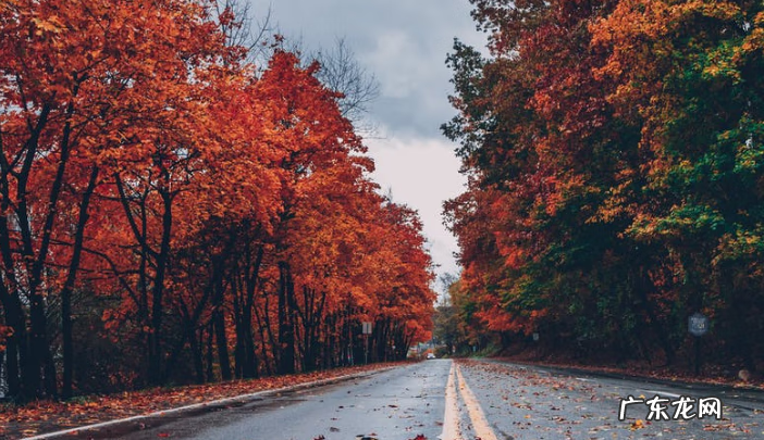 教育部教育考试院海外处 教育部海外考试中心网站