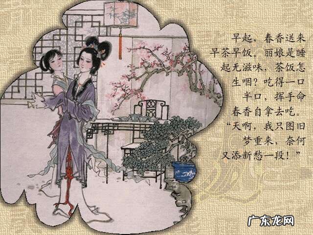 牡丹亭人物 牡丹亭故事情节图