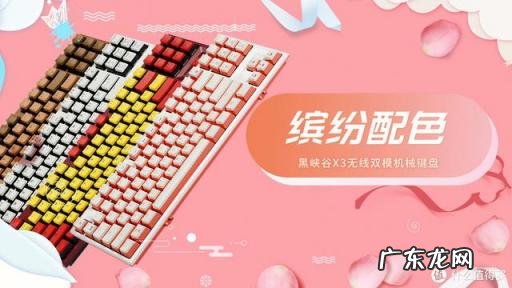 机械键盘哪个牌子好用 入门款机械键盘