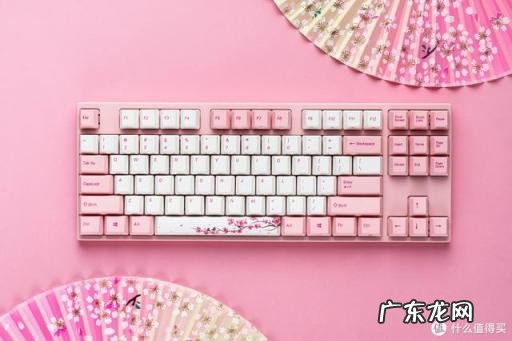 机械键盘哪个牌子好用 入门款机械键盘