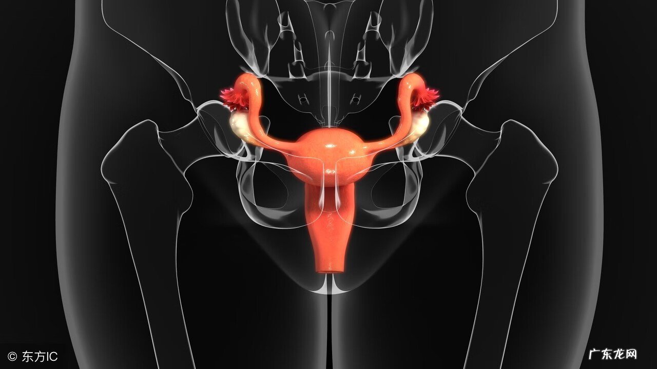 宫颈炎性疾病是啥意思 宫颈疾病有哪些