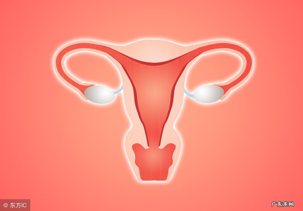宫颈炎性疾病是啥意思 宫颈疾病有哪些