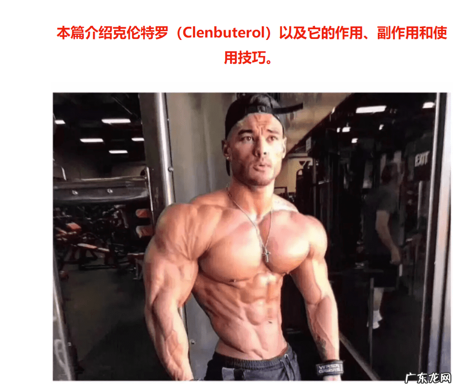 盐酸克伦特罗功效 盐酸克伦特罗的作用