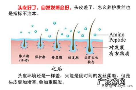 洗发香波是哪的方言 洗发香波的要求有