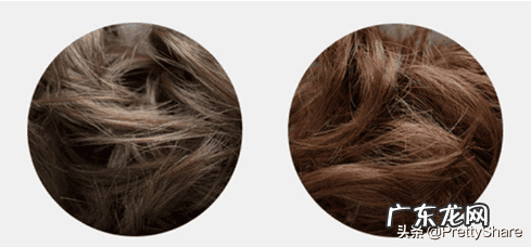 洗发香波是哪的方言 洗发香波的要求有