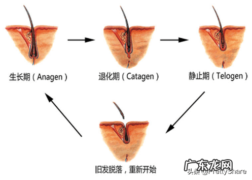 洗发香波是哪的方言 洗发香波的要求有