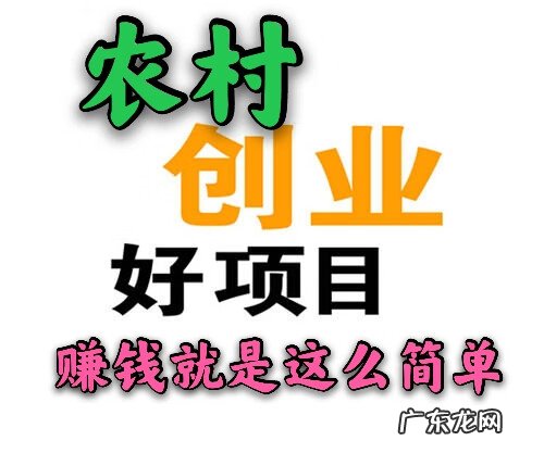 农村致富好项目 新型致富好项目
