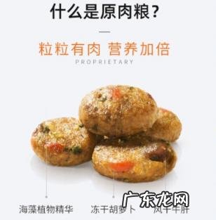 商业狗粮和天然狗粮 领先狗粮好吗