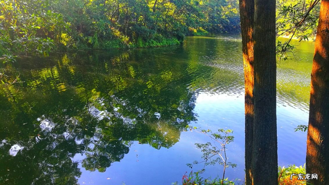 中国最好的风水宝地在哪里 惠州风水宝地在哪里