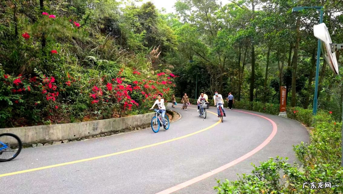 中国最好的风水宝地在哪里 惠州风水宝地在哪里