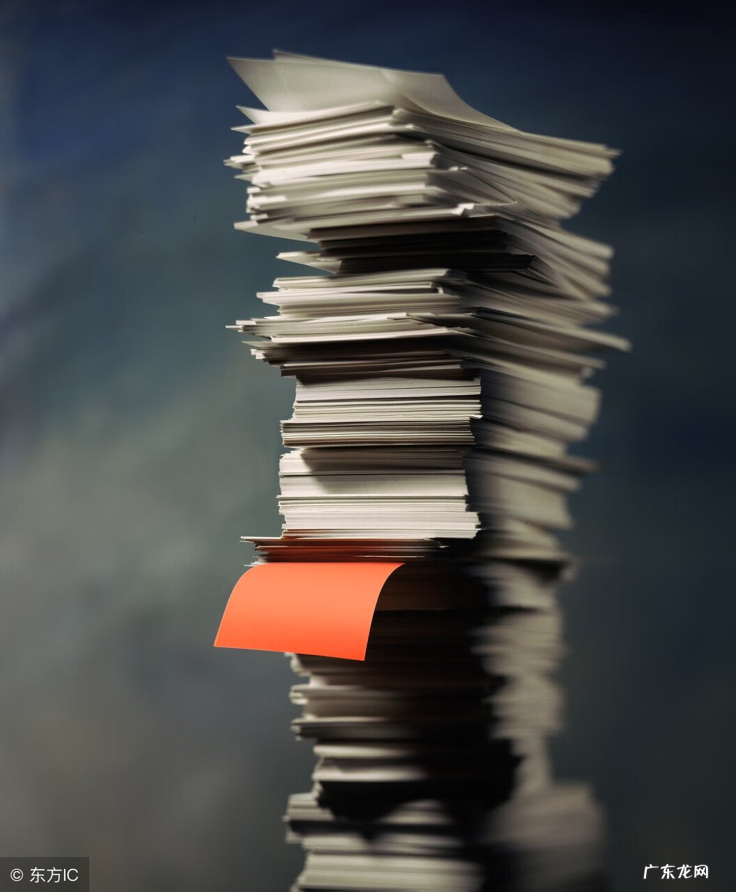 叩字开头的成语 言 字开头的成语