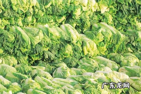 青岛可以带回来的特产 青岛的土特产有什么