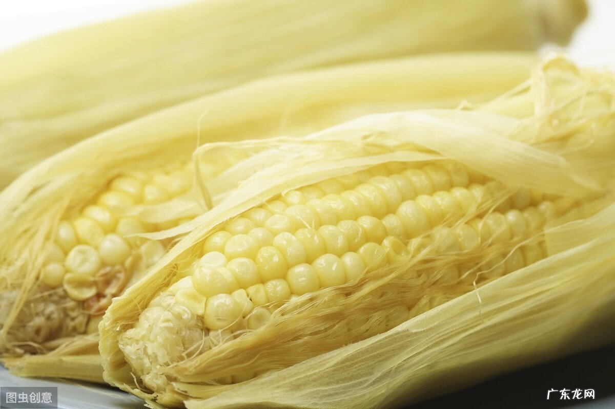 减肥早餐应该吃什么好 减肥早餐应该吃什么东西