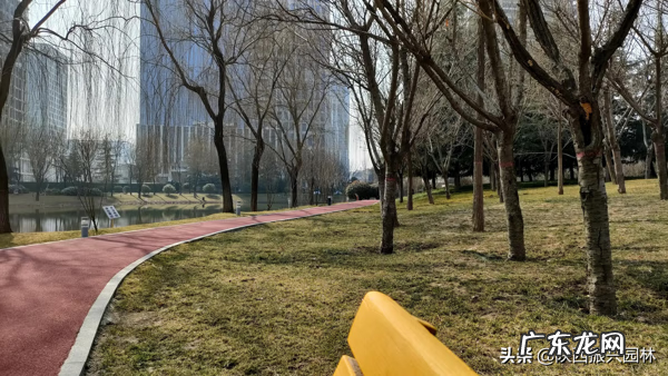 水云瑶 云水公园介绍