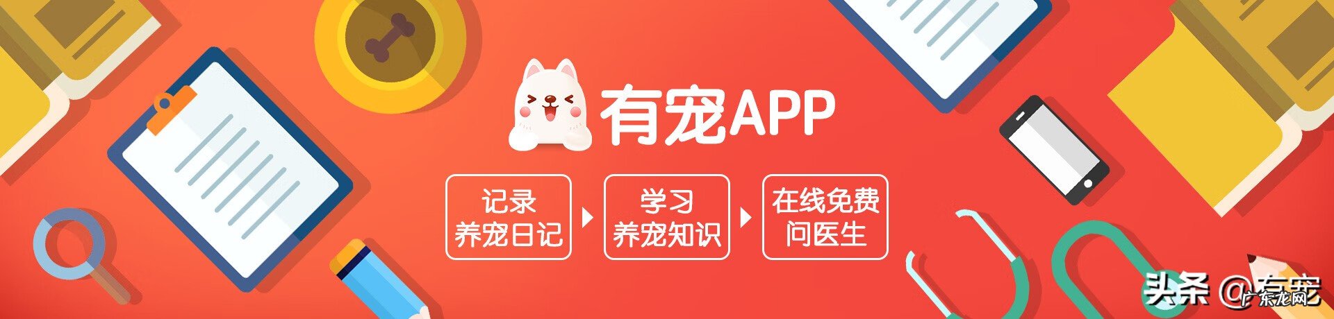 宠物店怎么赚钱 现在的宠物店赚钱吗