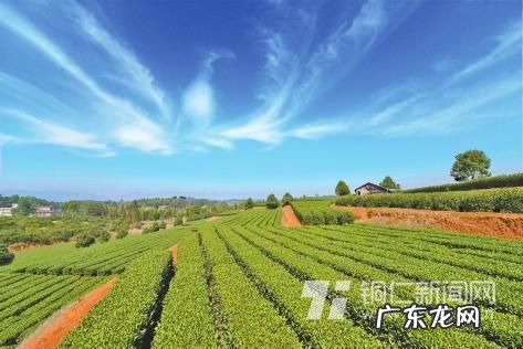 狮子形山风水地特点 雪峰山狮子口风水