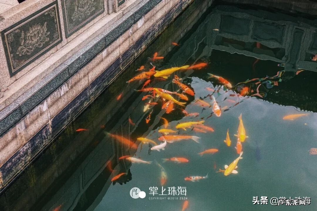 旧金台寺 金台寺风水格局