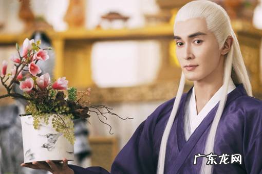 三生三世里白凤九和东华帝君结局是什么 三生三世枕上书凤九嫁给沧夷神君了吗?凤九和东华结局如何?