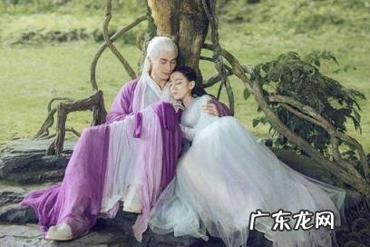 三生三世里白凤九和东华帝君结局是什么 三生三世枕上书凤九嫁给沧夷神君了吗?凤九和东华结局如何?