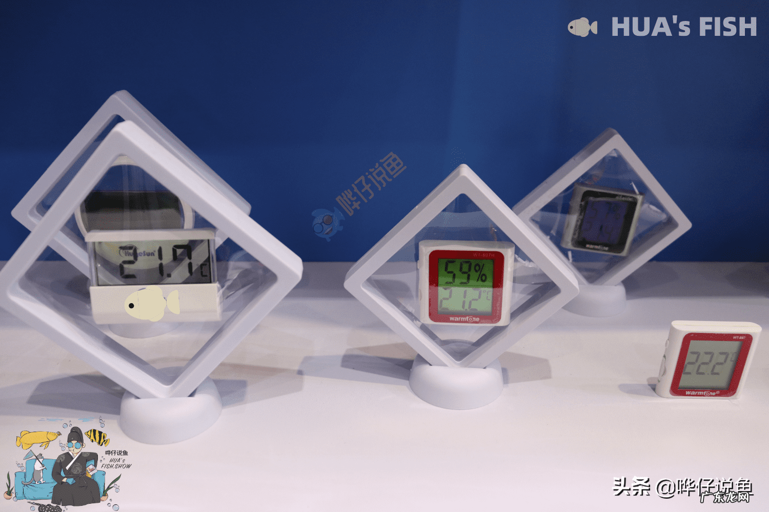 鱼缸水温计 水温计