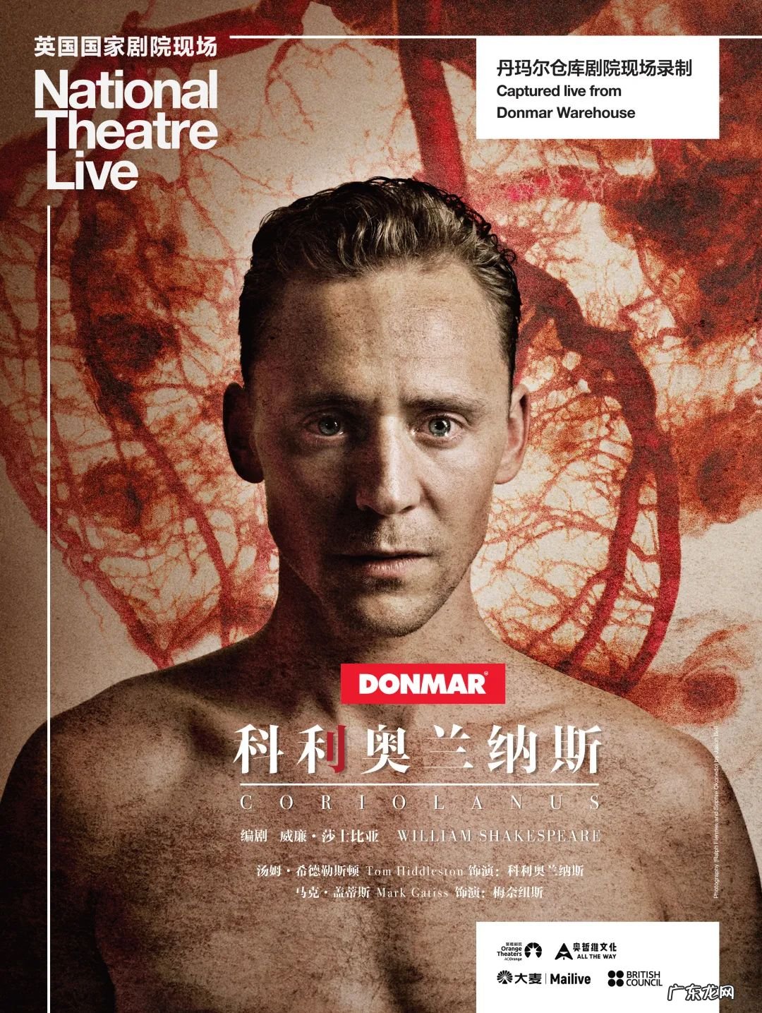 洛克王国小恶魔洛基怎么打 洛克王国小恶魔洛基怎么获得