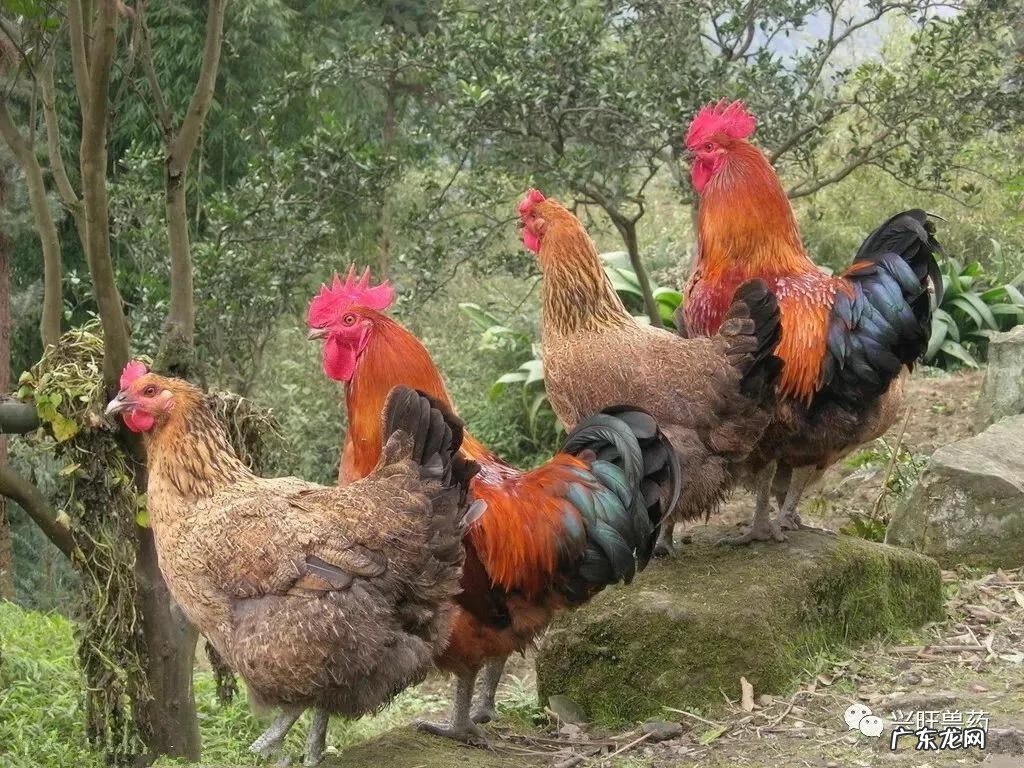 什么创业投资小利润好 有投资小见效快的生意