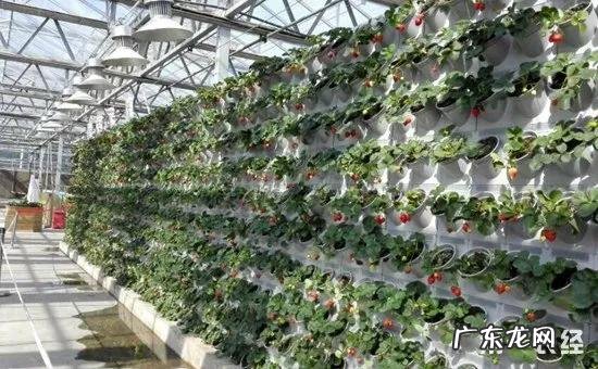 什么创业投资小利润好 有投资小见效快的生意