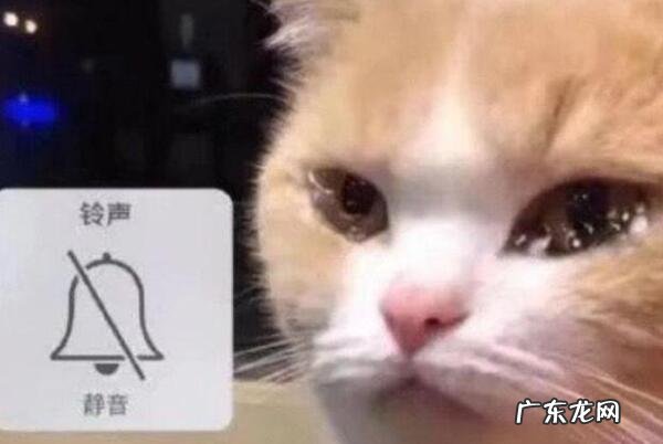 我真的蚌埠住了是什么意思 蚌埠住了是什么意思