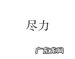 用尽竭力造句 竭尽全力造句二年级下册