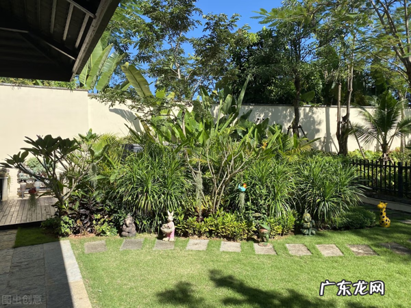 家里种枫树影响风水吗 种枫树风水好吗