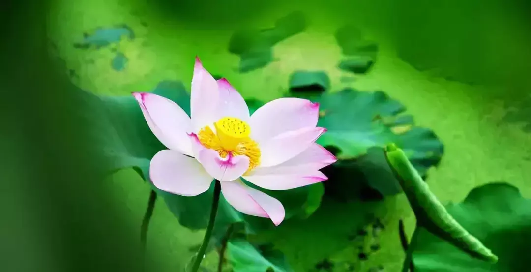 风水上的福德位是什么 真正的好风水是人的福德嘛