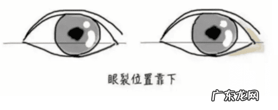 下垂眼 垂眼妆容