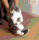 三维动画师工作内容 三维动画师简介