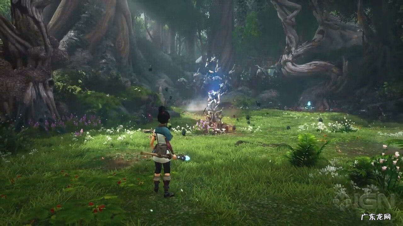 封测玩家 封测网络游戏