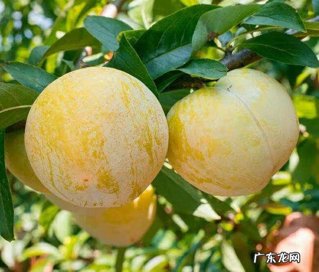 干哪行比较稳定赚钱 赚钱好的项目