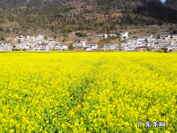 美丽的万峰林 万峰林景色