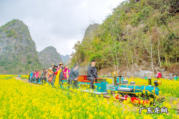 美丽的万峰林 万峰林景色