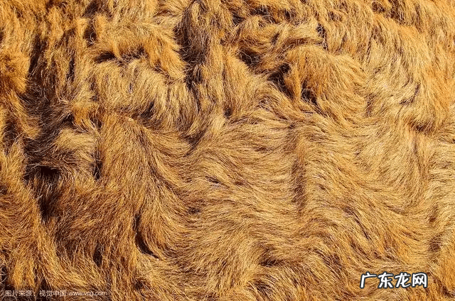 布料分类大全以及种类 布料种类及名称及图片